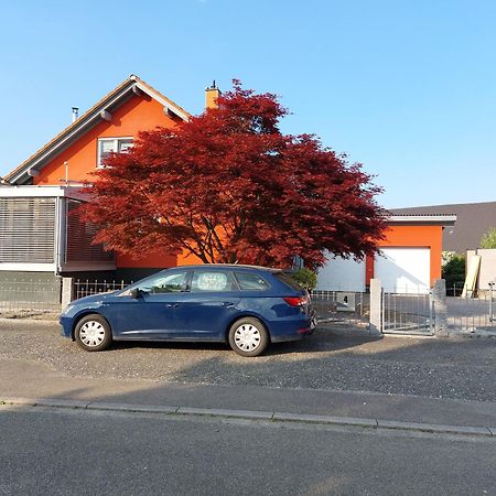 Sonnige Ferienwohnung Bei Familie Koehler Kappel-Grafenhausen Esterno foto